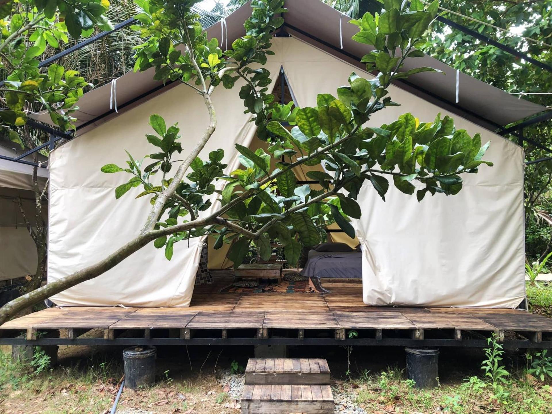 Con Dao Backpacker - Loco Camping Chi Khu Co Ong Exterior foto